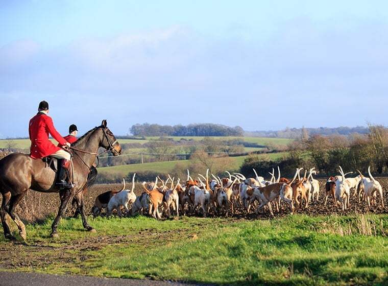 Alles über den Pferdesport Jagdreiten ZooRoyal Magazin