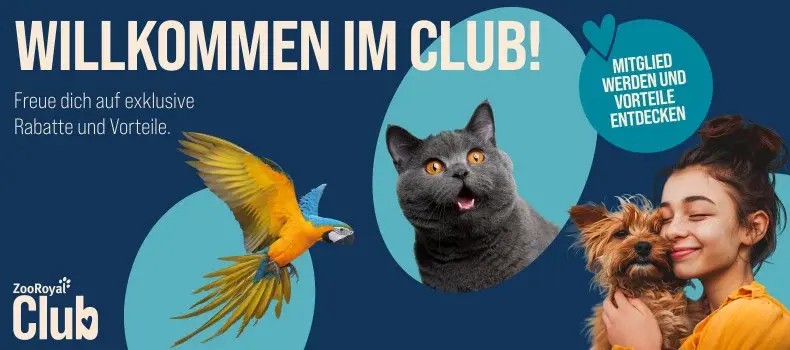 ZooRoyal Club Banner mit Katze, Ara und kleinem Hund sowie Hinweis auf den ZooRoyal Club.
