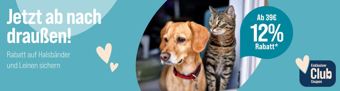 Spare 12 % ab 39 € auf Halsbänder und Leinen Werbebanner für Halsbänder und Leinen mit dem Slogan „Jetzt ab nach draußen!“. Abgebildet sind ein Hund mit rotem Halsband und eine Katze nebeneinander an einer geöffneten Tür. Ein Hinweis hebt hervor: „Ab 39 € 12 % Rabatt*“. Zusätzlich wird ein exklusiver Club-Coupon beworben.