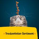 Josera Katzen Trockenfutter Katzen Trockenfutter-Sortiment
