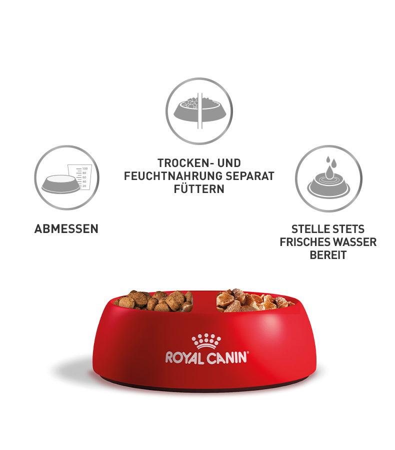 Royal Canin Fütterungshinweise mit Napf Grafische Hinweise zum Abmessen, getrennten Füttern von Trocken- und Feuchtnahrung und Bereitstellen von frischem Wasser.