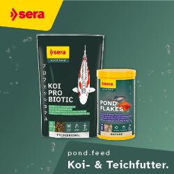 Sera Koi und Teichfutter Zwei Sera‑Produkte für Koi‑ und Teichfutter vor grünem Hintergrund.
