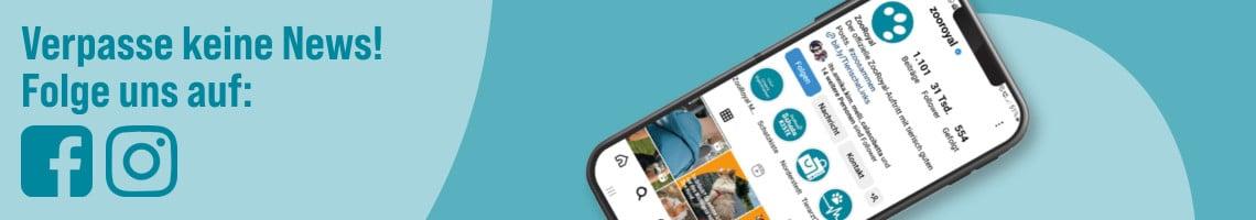 Folge und auf Social Media Werbebanner mit Hinweis, ZooRoyal auf Facebook und Instagram zu folgen; rechts ein Smartphone mit geöffneter Instagram‑Profilseite.