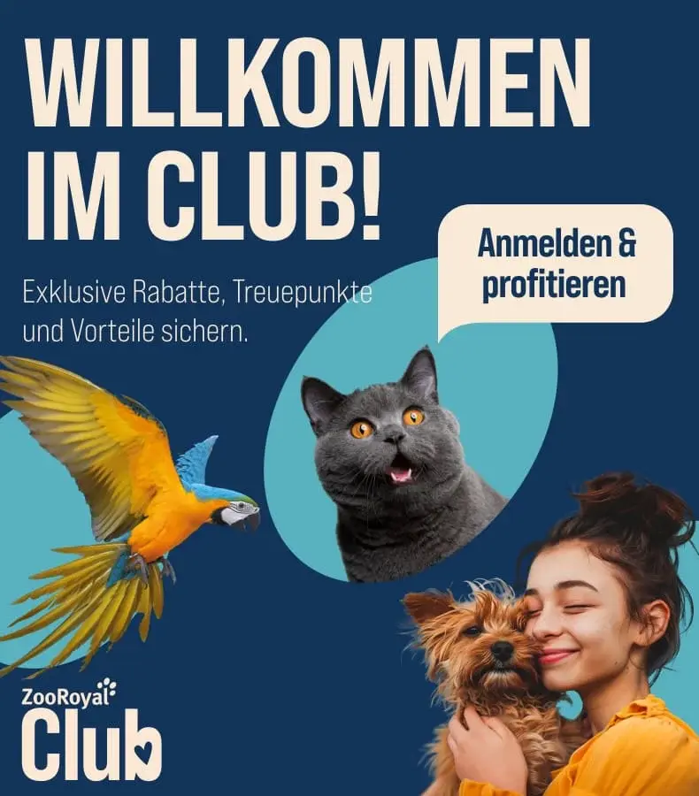 ZooRoyal Club Werbebanner mit blauem Hintergrund, Papagei, Katze und einer Frau mit Hund; Text wirbt für den ZooRoyal Club mit exklusiven Vorteilen.