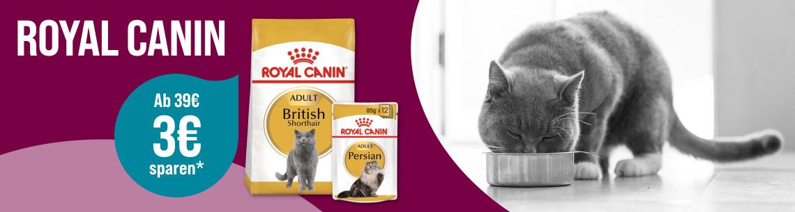 Spare 3€ ab 39€ auf Royal Canin Aktionsbanner für Katzenfutter von ROYAL CANIN. Katze frisst aus einem Napf, daneben Verpackungen von Trocken- und Nassfutter