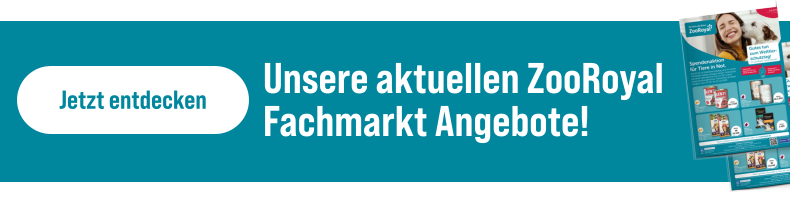 Aktuelle Fachmarkt-Angebote
