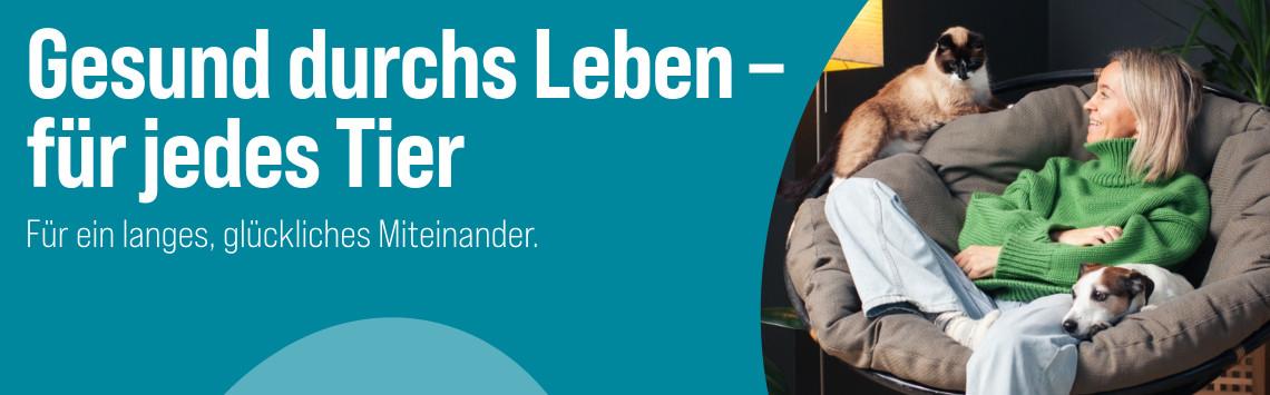 Tiergesundheit Katze sitzt auf einer Lehne und Hund liegt auf einem Sessel neben einer Person in einem Wohnzimmer - Banner zum Thema Tiergesundheit.