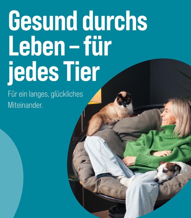 Tiergesundheit Katze sitzt auf einer Lehne und Hund liegt auf einem Sessel neben einer Person in einem Wohnzimmer - Banner zum Thema Tiergesundheit.
