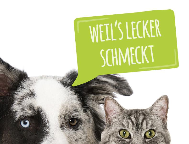 MjAMjAM Abbinder Hund und Katze neben dem Text „Weil’s lecker schmeckt“ auf weißem Hintergrund.