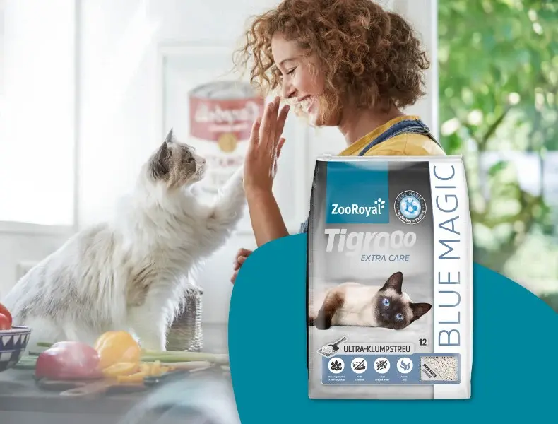 Tigrooo Extra Care Katzenstreu Katze berührt die Hand einer Person in der Küche neben einer Packung ZooRoyal Tigrooo Extra Care Katzenstreu.