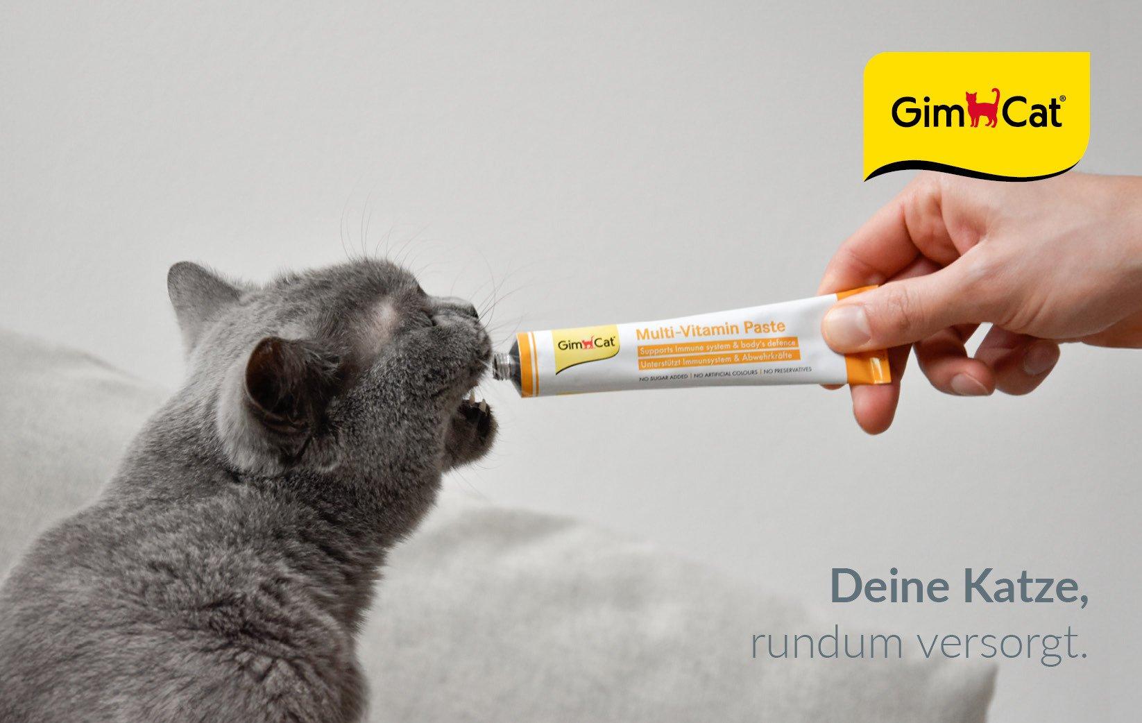 Topbanner GimCat Graue Katze leckt GimCat Multi‑Vitamin Paste aus einer Tube.