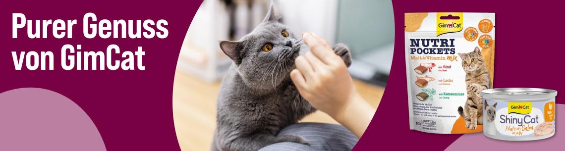 Entdecke Katzenfutter von GimCat Aktionsbanner für Katzensnacks und ‑futter von GimCat. Katze wird aus der Hand gefüttert, daneben Verpackungen von Snacks und Nassfutter, Hinweis auf „Purer Genuss von GimCat“.