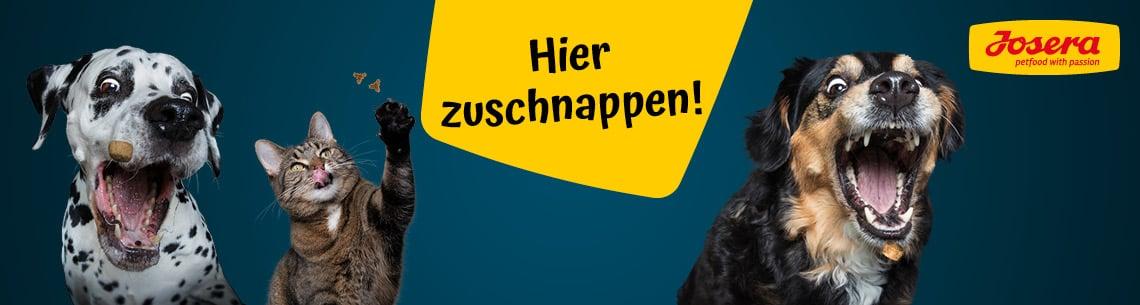 Josera Topbanner Hunde und eine Katze versuchen Futterstücke zu fangen, daneben der Text „Hier zuschnappen!“.