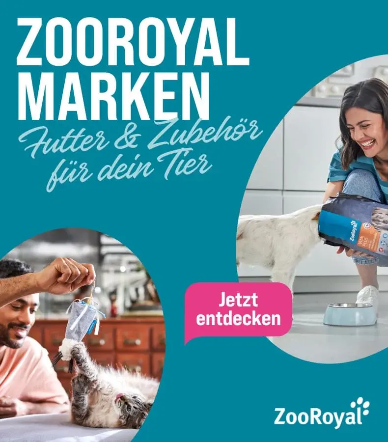 ZooRoyal Marken Topbanner Katze erhält Futter und Hund wird neben einem Futternapf gefüttert; Banner für die ZooRoyal Marken.
