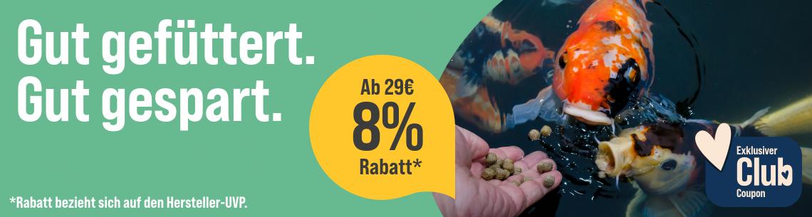 Spare 8 % ab 29 € auf Fischfutter Werbebanner für Teichbedarf mit dem Schriftzug „Gut gefüttert. Gut gespart.“. Rechts sind mehrere Koi-Karpfen an der Wasseroberfläche eines Gartenteichs zu sehen. Eine Hand hält Fischfutter über dem Wasser. Ein Hinweis hebt hervor: „Ab 29 € 8 % Rabatt*“. Zusätzlich wird ein exklusiver Club-Coupon beworben. Fußnote: „*Rabatt bezieht sich auf die Hersteller-UVP.“