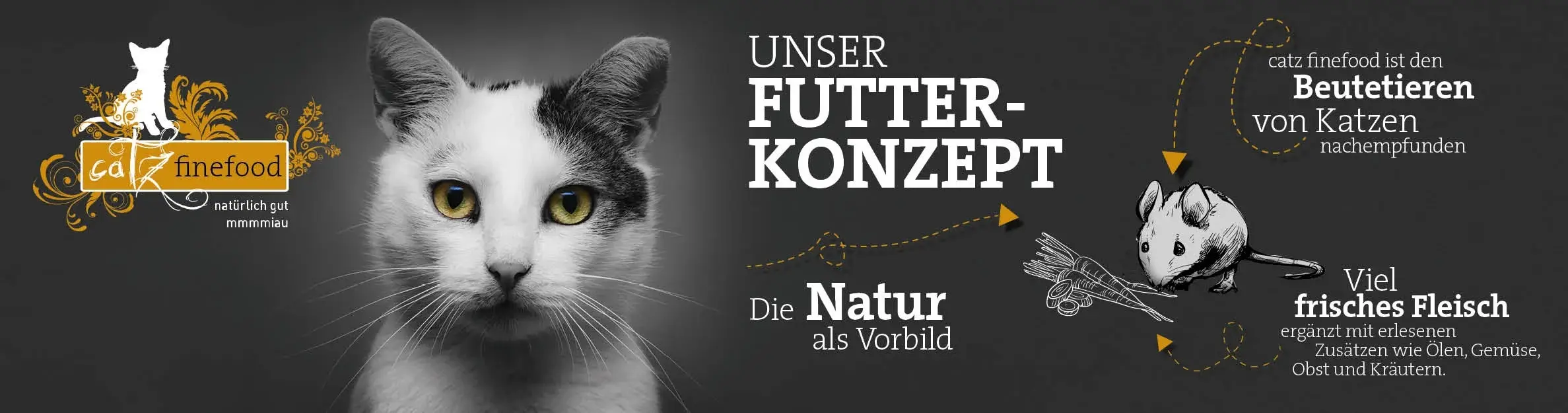 Futterkonzept Banner mit einer Katze und dem catz finefood Hinweis auf ein natürliches Futterkonzept.