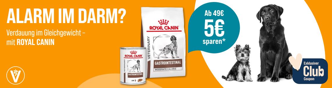 Spare 5 € ab 49 € auf ROYAL CANIN Hundefutter Aktionsbanner für ROYAL CANIN Hundefutter. Links orangefarbener Hintergrund mit dem Schriftzug „Alarm im Darm? Verdauung im Gleichgewicht – mit ROYAL CANIN“; mittig Abbildungen von ROYAL-CANIN-Veterinary-Gastrointestinal-Trocken- und Nassfutter. Rechts Hinweis „Ab 49 € 5 € sparen*“ sowie zwei Hunde vor hellem Hintergrund. Unten rechts Club-Coupon-Symbol mit Schriftzug „Exklusiver Club Coupon“. Hinweis: Spare 5 € ab 49 € auf ROYAL CANIN Hundefutter.*