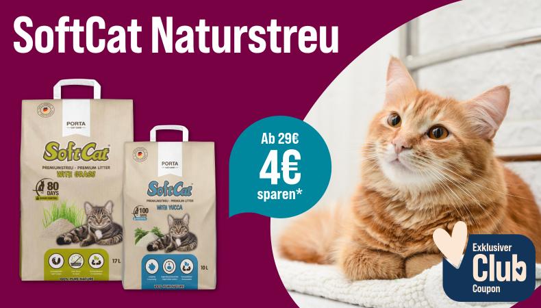 Spare 4 € ab 29 € auf Softcat Naturstreu Aktionsbanner für SoftCat Naturstreu. Mittig zwei Packungen SoftCat Premiumstreu in den Varianten Wildgras und Yucca; daneben türkiser Hinweis „Ab 29€ 4€ sparen*“. Rechts rot getigerte Katze auf einer hellen Decke. Hinweis: Exklusiver Club Coupon.