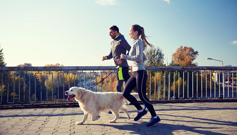 Jogger mit Hund Zwei Jogger laufen mit einem Hund an der Leine über eine Brück.