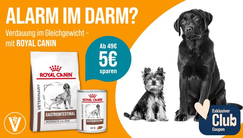 Spare 5 € ab 49 € auf ROYAL CANIN Hundefutter Aktionsbanner für ROYAL CANIN Hundefutter. Links orangefarbener Hintergrund mit dem Schriftzug „Alarm im Darm? Verdauung im Gleichgewicht – mit ROYAL CANIN“; mittig Abbildungen von ROYAL-CANIN-Veterinary-Gastrointestinal-Trocken- und Nassfutter. Rechts Hinweis „Ab 49 € 5 € sparen*“ sowie zwei Hunde vor hellem Hintergrund. Unten rechts Club-Coupon-Symbol mit Schriftzug „Exklusiver Club Coupon“. Hinweis: Spare 5 € ab 49 € auf ROYAL CANIN Hundefutter.*