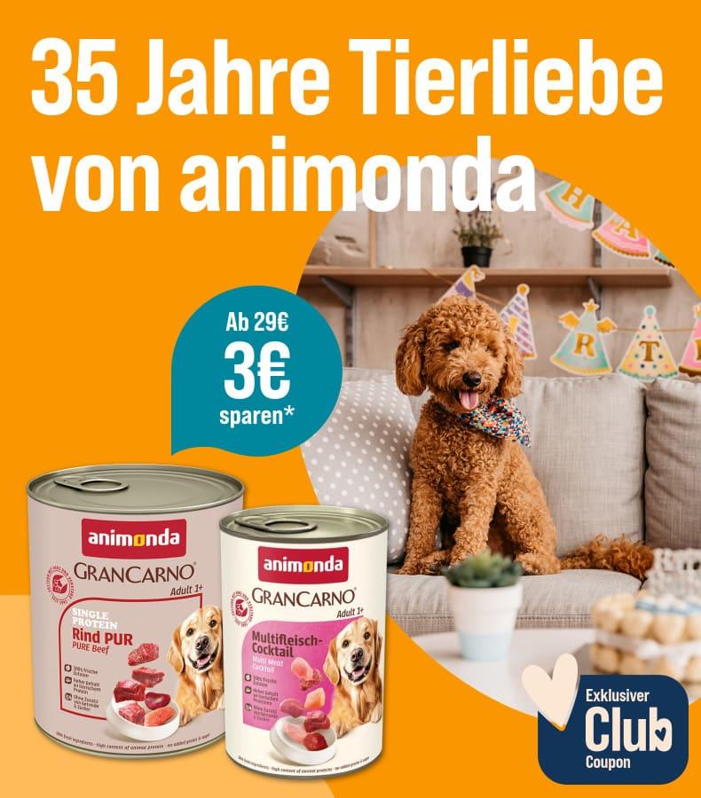 Spare 3€ ab 29€ auf animonda Hundefutter Aktionsbanner mit animonda Hundefutterdosen und einem Hund in einem Wohnumfeld.