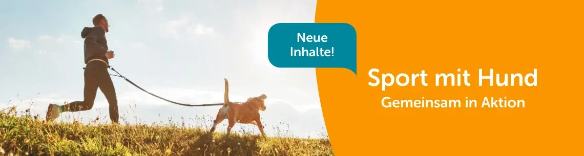 Sport mit Hund Eine Person joggt gemeinsam mit Hund über eine Wiese; Banner zum Thema Sport mit Hund.