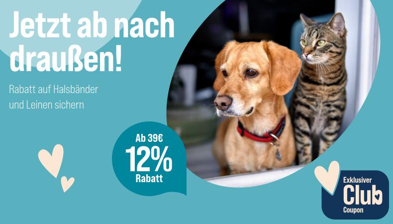 Spare 12 % ab 39 € auf Halsbänder und Leinen Werbebanner für Halsbänder und Leinen mit dem Slogan „Jetzt ab nach draußen!“. Abgebildet sind ein Hund mit rotem Halsband und eine Katze nebeneinander an einer geöffneten Tür. Ein Hinweis hebt hervor: „Ab 39 € 12 % Rabatt*“. Zusätzlich wird ein exklusiver Club-Coupon beworben.