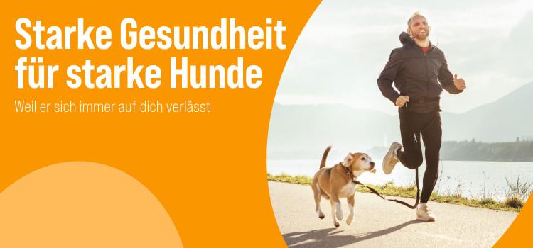 Hundegesundheit Hund läuft an der Leine neben einer joggenden Person auf einem Weg am Wasser, Banner zum Thema Hundegesundheit.