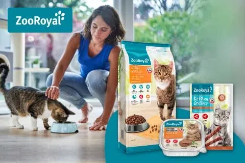 ZooRoyal Katzenfutter im Wohnumfeld Katze frisst aus einem Napf, während ZooRoyal Katzenfutterprodukte daneben stehen.