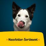 Josera Hunde Nassfutter Hunde Nassfutter-Sortiment.
