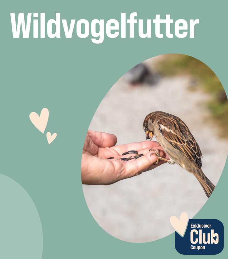 Entdecke hochwertiges Wildvogelfutter Aktionsbanner für Wildvogelfutter. Links der Titel „Entdecke hochwertiges Wildvogelfutter“. Mittig ein Foto eines Wildvogels, der Körner aus einer ausgestreckten Hand frisst. Rechts ein Badge mit dem Hinweis „Exklusiver Club Coupon“. Hinweis: Exklusive Vorteile für Club-Mitglieder auf ausgewählte Produkte für Wildvögel.