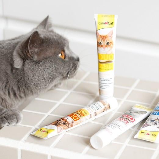 GimCat Pasten Graue Katze schnuppert an mehreren GimCat Pasten-Tuben auf einer hellen Fläche.