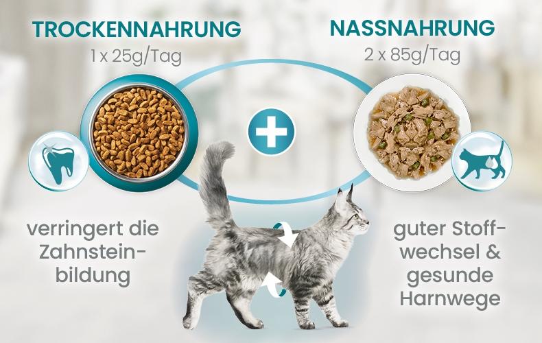 Grafik Mischfütterung Grafik zur Kombination von Trocken‑ und Nassnahrung für Zahnpflege und Harnwegsunterstützung.