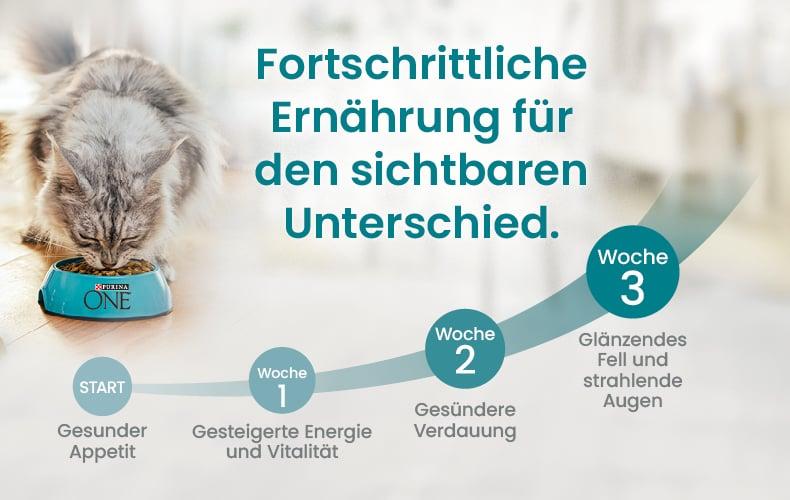 Purina One Grafik zur Fütterung Katze frisst aus einem Napf mit Purina‑ONE‑Logo neben einer Grafik zu sichtbaren Fütterungsergebnissen.