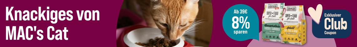 Spare 8 % ab 39 € auf Katzenfutter von MAC's Cat Werbebanner für MAC's Cat Trockenfutter mit dem Schriftzug „Knackiges von MAC's Cat“. Abgebildet sind zwei Trockenfutterprodukte der Marke MAC's Cat. Daneben frisst eine rot getigerte Katze aus einem Futternapf. Ein Hinweis hebt hervor: „Ab 39 € 8 % sparen*“. Zusätzlich wird ein exklusiver Club-Coupon beworben.