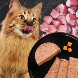 Leonardo Nassfutter Katze vor einem Teller Nassfutter mit Fleischstücken.