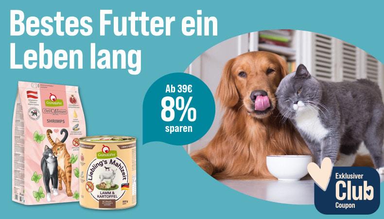 21702 Katze Trockenfutter