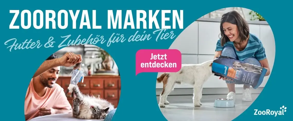 ZooRoyal Marken Topbanner Katze erhält Futter und Hund wird neben einem Futternapf gefüttert; Banner für die ZooRoyal Marken.