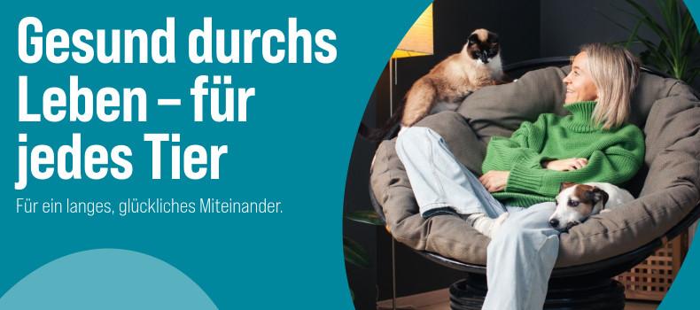 Tiergesundheit Katze sitzt auf einer Lehne und Hund liegt auf einem Sessel neben einer Person in einem Wohnzimmer - Banner zum Thema Tiergesundheit.