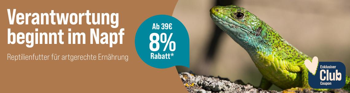 Spare 8 % ab 39 € auf Reptilienfutter Aktionsbanner für Reptilienfutter. Rechts liegt eine grün schimmernde Echse auf einem Ast oder Felsen. 8 % Rabatt ab 39 € für Club-Mitglieder.