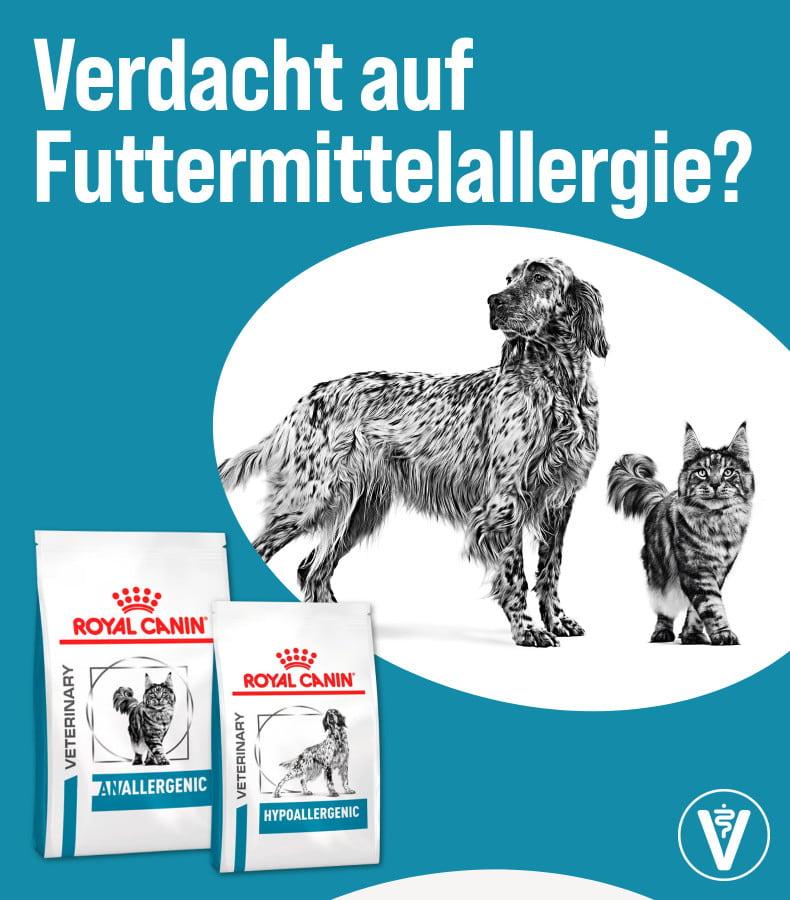 Entdecke Royal Canin Diätfutter Aktionsbanner mit Royal Canin Veterinary Allegergenic und Hypoallergenic Futter für Hunde und Katzen sowie einer Hund‑ und Katzendarstellung.