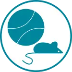 Icon Spielzeug Icon Spielzeug.