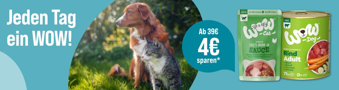 Spare 4€ ab 39€ auf Hunde- und Katzenfutter von WOW Aktionsbanner für Hunde‑ und Katzenfutter der Marke WOW. Hund und Katze sitzen nebeneinander vor einem natürlichen Hintergrund, daneben Verpackungen von Nassfutter.