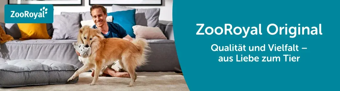 ZooRoyal Hund spielt im Wohnzimmer mit Stofftier Hund spielt im Wohnzimmer mit einem Stofftier vor einem Sofa.