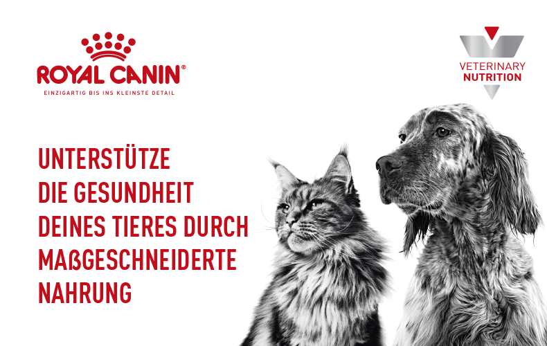 Royal Canin VET Topbanner Royal Canin VET Topbanner.