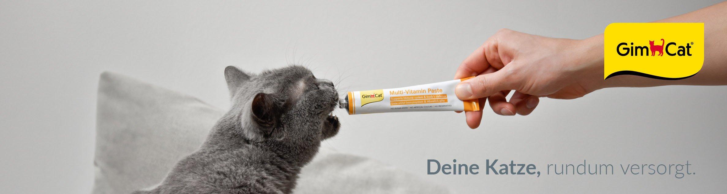 Topbanner GimCat Graue Katze leckt GimCat Multi‑Vitamin Paste aus einer Tube.