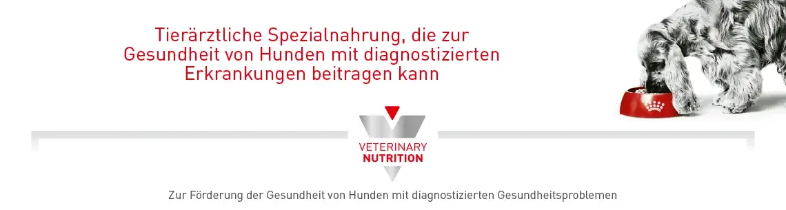 Veterinary Nutrition Spezialnahrung für Hunde Hund frisst aus einem roten Napf neben dem Hinweis auf tierärztliche Spezialnahrung.