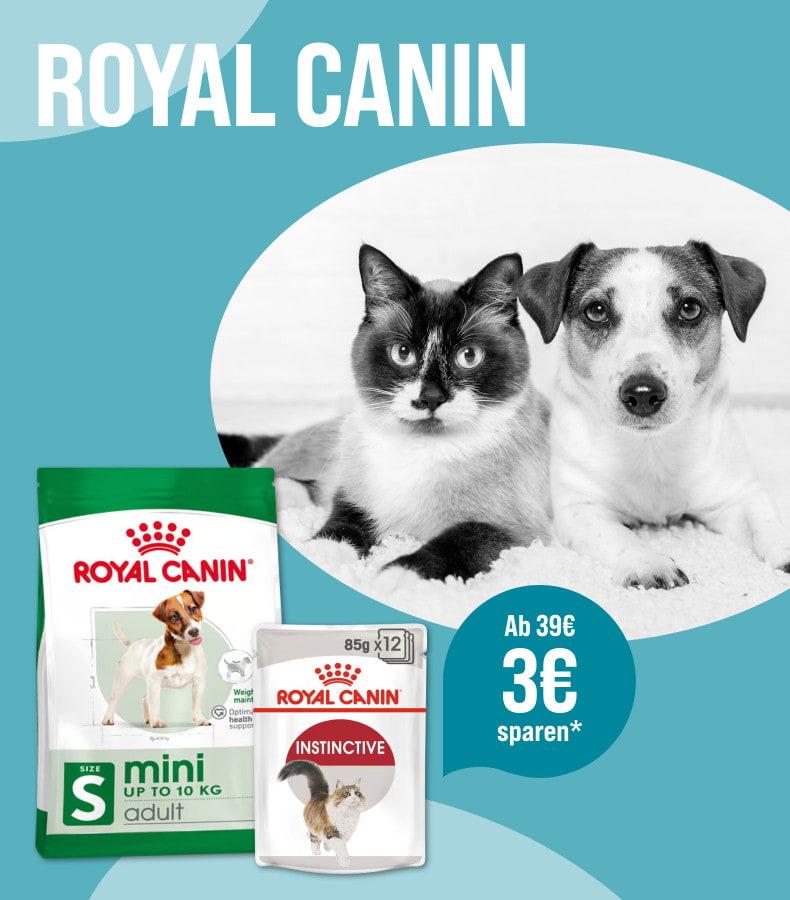 Spare 3 € ab 39 € auf Royal Canin Aktionsbanner für Royal Canin Tierfutter. Rechts liegen eine Katze und ein Hund, die in die Kamera schauen.