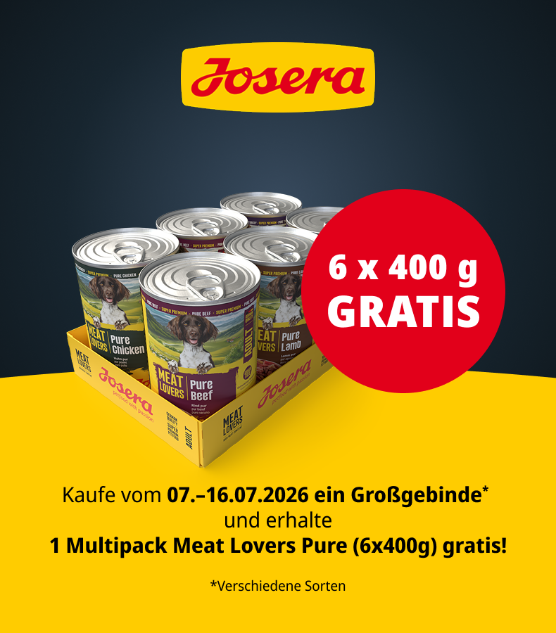 Meat Lovers Pure Multipack gratis Aktionsbanner für Josera Hundenahrung. Links ein Hund mit Futterstückchen vor dunklem Hintergrund. Mittig ein Meat Lovers Pure Multipack von Josera sowie der Hinweis „GRATIS“. Rechts die Aktionsbeschreibung zum Gratisprodukt beim Kauf eines 12,5-kg-Großgebindes. Hinweis: Gelb-blaues Bannerdesign im Josera Markenlook.