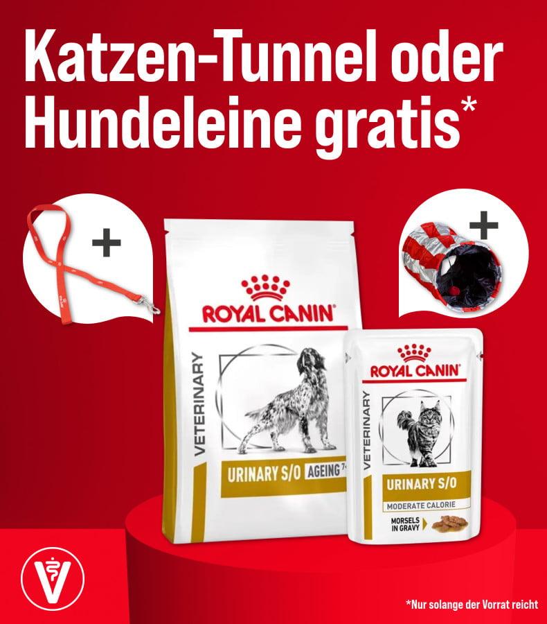 21751-zooroyal-royal-canin-vet-kampagne-teil2790x900-px.jpg